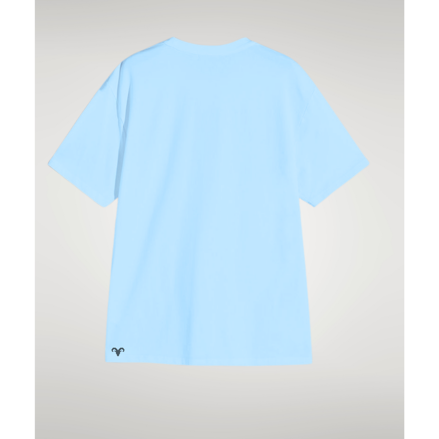CAMISETA SPECIAL EDITION AZUL